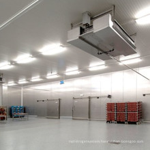 Containerized Cold Room with Low Temperature